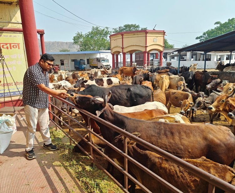 Dhanbad: झरिया में मारवाड़ी युवा मंच ने किया गौ सेवा एवं तुला दान का पावन आयोजन