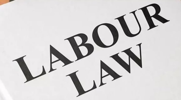 आज से नया लेबर लॉ:“एक साल की नौकरी पर ग्रेच्युटी, ओवरटाइम पर डबल सैलरी”