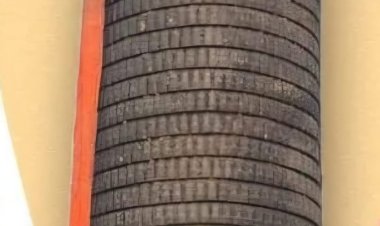 बिहार में इतिहास रचा गया: विराट रामायण मंदिर में स्थापित हुआ दुनिया का सबसे बड़ा अखंड शिवलिंग