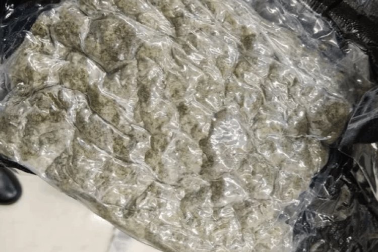 गया एयरपोर्ट पर अंतरराष्ट्रीय ड्रग्स रैकेट का भंडाफोड़, 25 किलो हाइड्रोपोनिक वीड्स के साथ 5 तस्कर गिरफ्तार