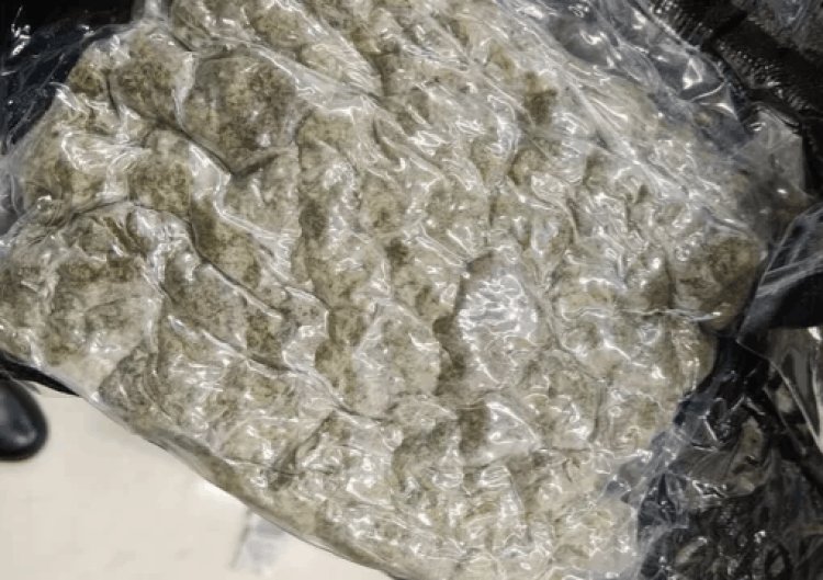 गया एयरपोर्ट पर अंतरराष्ट्रीय ड्रग्स रैकेट का भंडाफोड़, 25 किलो हाइड्रोपोनिक वीड्स के साथ 5 तस्कर गिरफ्तार