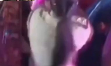 धनबाद: पुलिस वर्दी में डांडिया नाइट में भोजपुरी गाने पर डांस का VIDEO वायरल, राजगंज थानेदार अलीशा कुमारी लाइन क्लोज