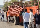 महाराष्ट्र के पालघर में बड़ा सड़क हादसा,बारातियों से भरे ट्रक को कंटेनर ने मारी टक्कर, 13 की दर्दनाक मौत