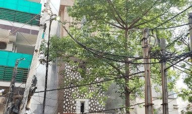 दिल्ली की आग में उजड़ गया पूरा परिवार: गुरुग्राम के CA विवेक समेत 8 की मौत, सिर्फ बीमार पिता बचे