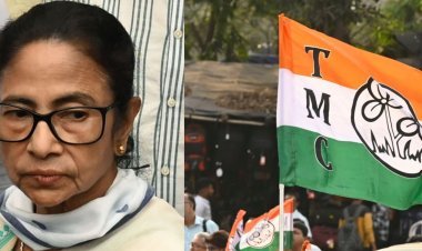 ममता बनर्जी बड़ा झटका? TMC में टूट की चर्चा तेज, 16 सांसदों के फोन बंद; दिल्ली में बढ़ी सियासी हलचल
