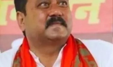 दिल्ली हर्ष फायरिंग केस में बिहार के BJP MLA राजू कुमार सिंह दोषी करार, कोर्ट ने भेजा हिरासत में, 9 जून को सजा