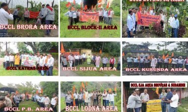 रक्षाबंधन पर BCCL में ‘वृक्ष ही जीवन’ का संकल्प, अमृता देवी बलिदान दिवस पर हुआ पौधारोपण