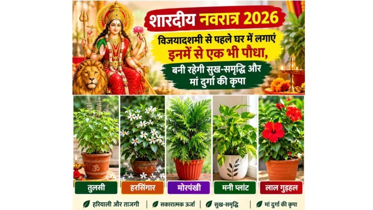 Shardiya Navratri : विजयादशमी से पहले घर में लगाएं तुलसी, हरसिंगार समेत 5 शुभ पौधे